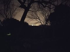 -上海市保健医疗中心(华东疗养院)