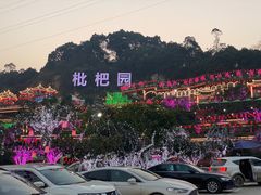 -枇杷园食为鲜火锅(南山店)