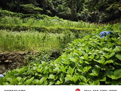 -鼓岭旅游度假区