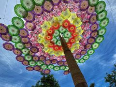 -西双版纳傣族园