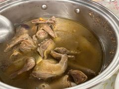 -百利鸽王(紫薇路店)