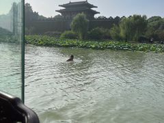 -扬州瘦西湖船宴