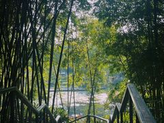 -云溪植物园