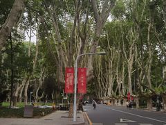 -南京中国近代史遗址博物馆(南京总统府)