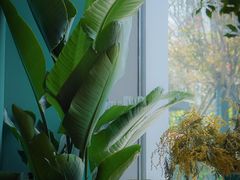 景观位-甜阿姨·天台花园私房菜(万松园店)
