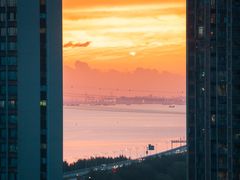 -宝安西湾红树林湿地公园