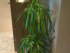 -泰合玺·精油疗愈 SPA(南京河西万达店)