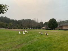 -天目湖涵田半山温泉