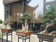 -东湖食堂·湖景餐厅•会议