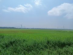 -野鸭湖国家湿地公园