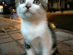 -富侨养生(康乾店)