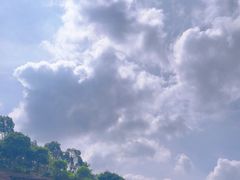 -云南野生动物园
