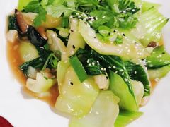 -熊猫川菜馆 panda chine