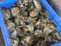 原蒸生态海岛鲜蚝-龙坛美食店