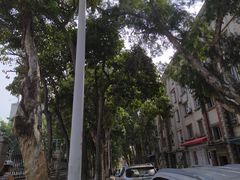 -厦门市图书馆(集美新城馆区)