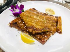 -港升鱼师傅·中山脆肉鲩