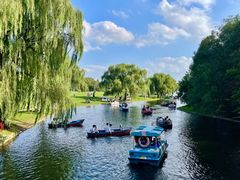 -上海共青森林公园