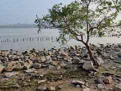 -深圳湾公园(南山区)