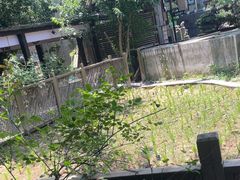 -天怡·鱼工厂(梅溪湖店)