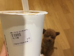 -CoCo都可(江宁托乐嘉店)