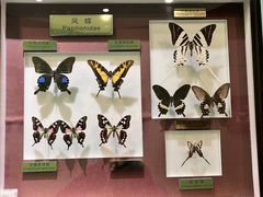 -上海昆虫博物馆