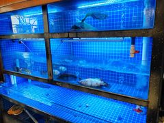 -三玛璐酒楼(汉口路店)