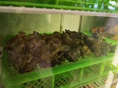 -山菌美食苑(振兴路店)