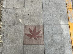 -香山公园