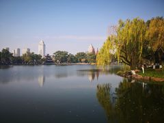 -月湖公园