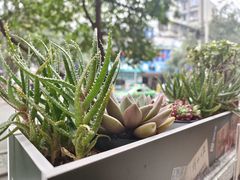 -龙厂长老火锅(抚琴店)