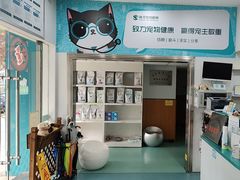 -瑞派先诺宠物医院•猫专科•普外科•中兽医(佛山院)