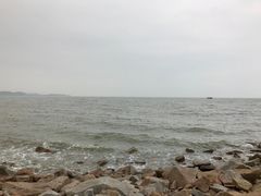 -野狸岛