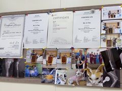 -美联众合动物医院·24h京西诊疗中心