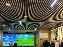 -奥悦荟城市高尔夫俱乐部(文化路万达广场店)