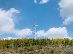 -塞罕坝国家级自然保护区