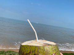 -白沙门生态公园