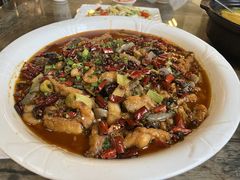 -龙翔山庄雷鸡肉(青城后山泰安古镇店)