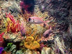 -太平洋海底世界