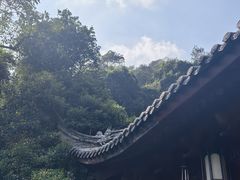 -韬光茶庵
