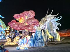 -淄博花灯齐彩城