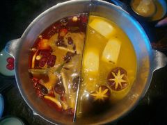 红颜花胶鸡锅-湊湊火锅·茶憩(新中关购物中心店)