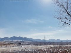 -北京张裕爱斐堡酒庄