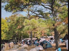 -东湖落雁景区