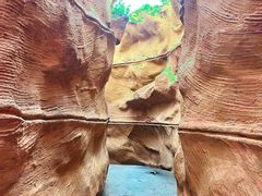 -陕西自然博物馆