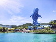 -珠海长隆海洋王国