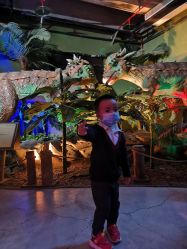 -恐龙探索乐园(磁器口店)