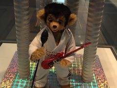 -济州岛泰迪熊博物馆