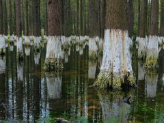 -艾溪湖湿地公园