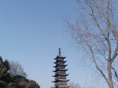 -上海方塔园