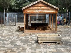 -长白岛森林公园